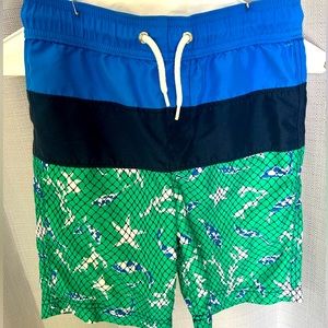 Lands End Kids Swim Trunks